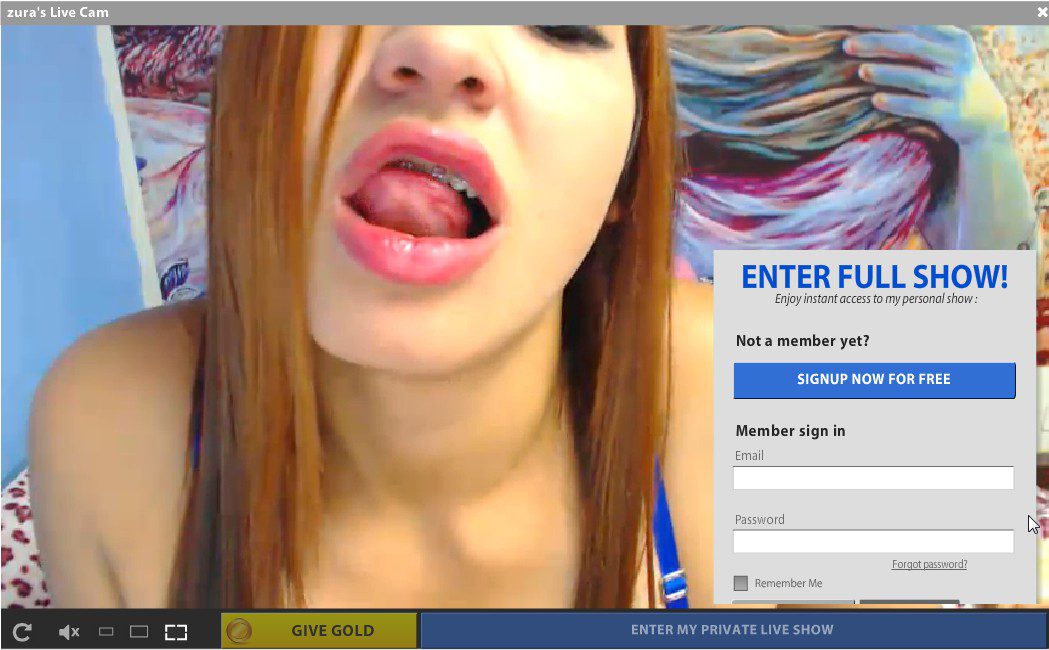 We discuss using user generated tags for finding home webcam models.